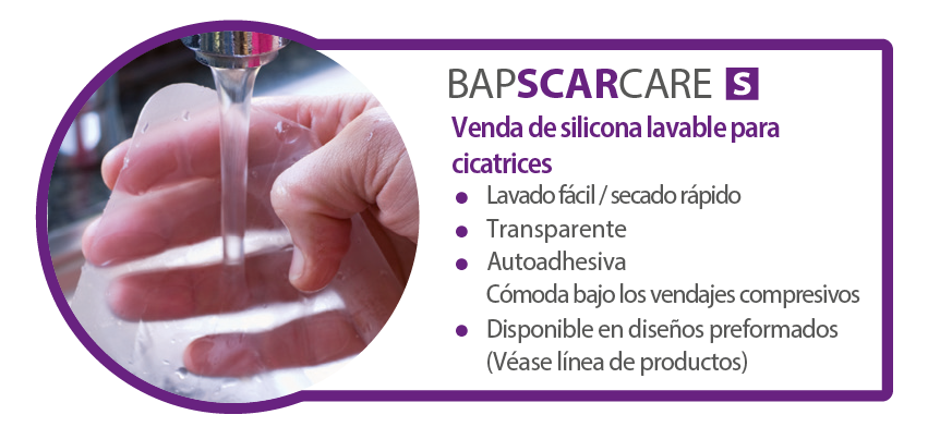 Bapscarcare-feature 3